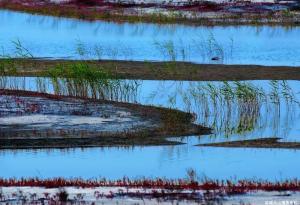 江苏省盐城市经济状况,盐城简介江苏省地级市