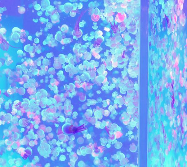 南京周末遛娃好去处,悠闲带娃好去处