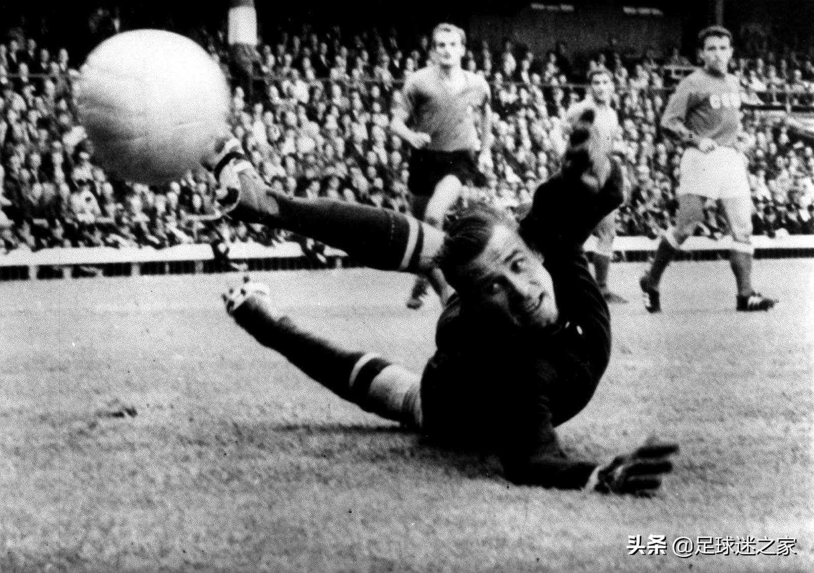 这些动物组一支足球队能统治当今足坛，你服不服