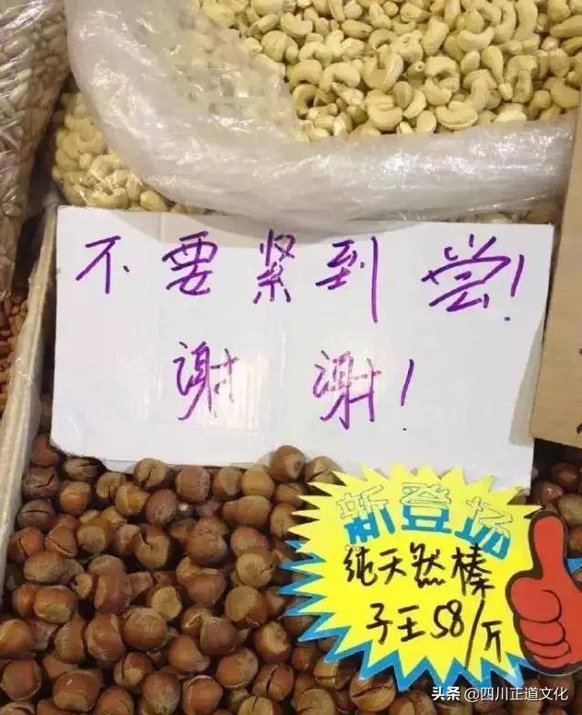 趣谈人的智慧,趣谈重庆