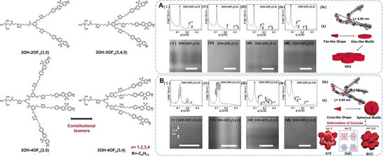 精选JACS/Angew12篇:树枝状大分子的最新成果大盘点