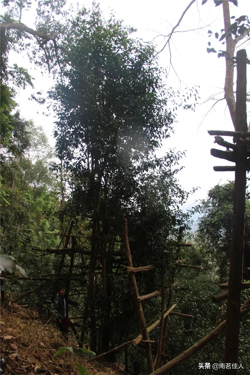 重走茶马古道,重走茶马古道的感觉