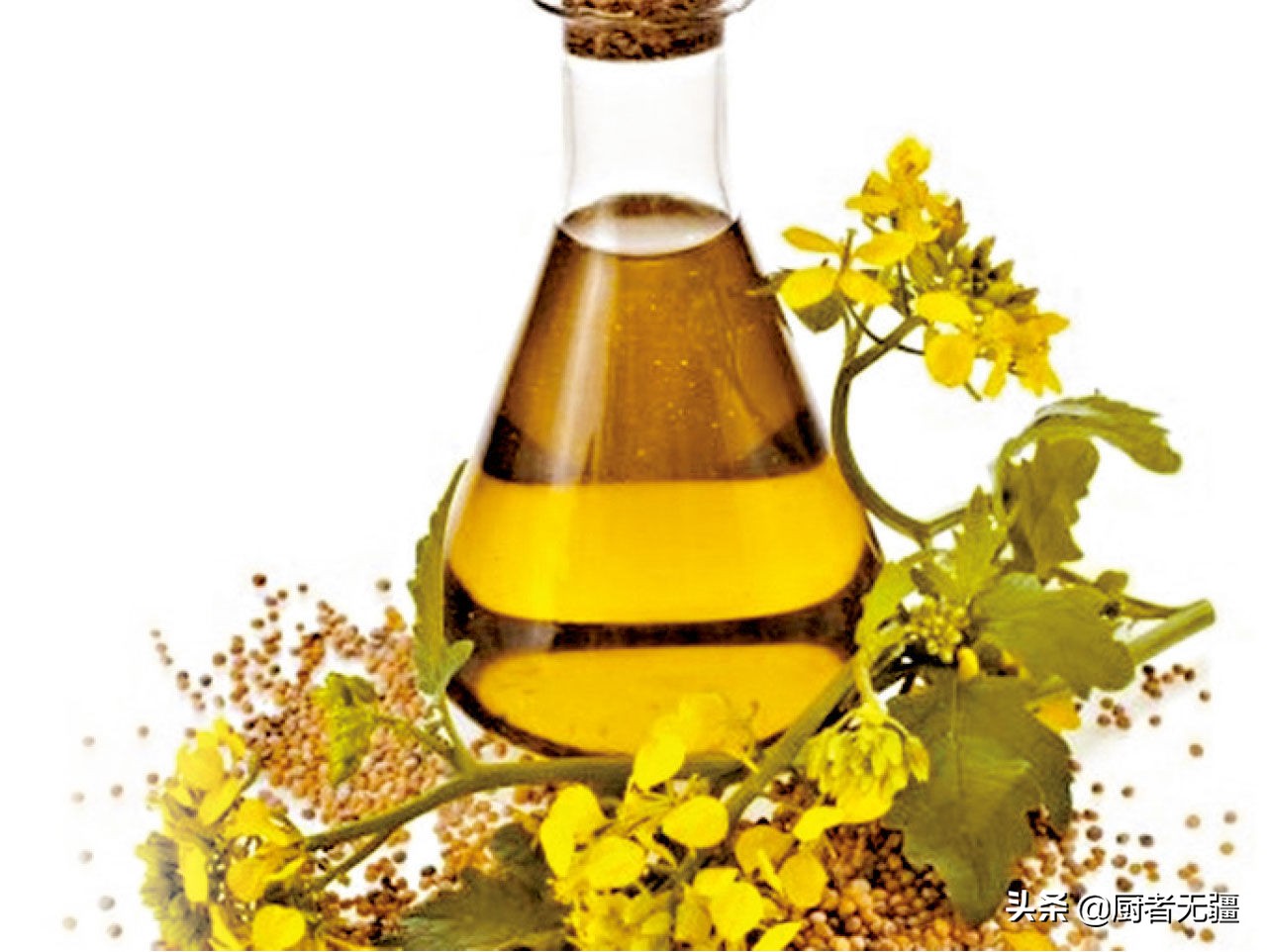 各种食用油的营养价值及图表,各种食用油的营养价值排行榜