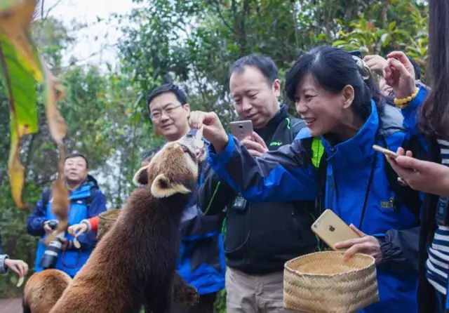全国十大名茶旅游地,中国十大茶旅
