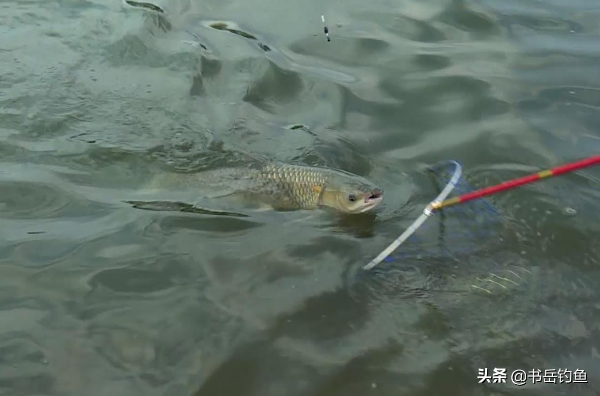 漂目加粗仅为了好看？事实并不是如此！比这更好的作用你还不知道