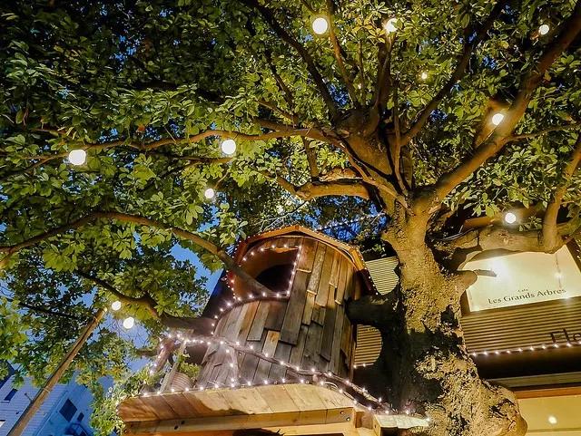 日本青山花店,日本花店推荐