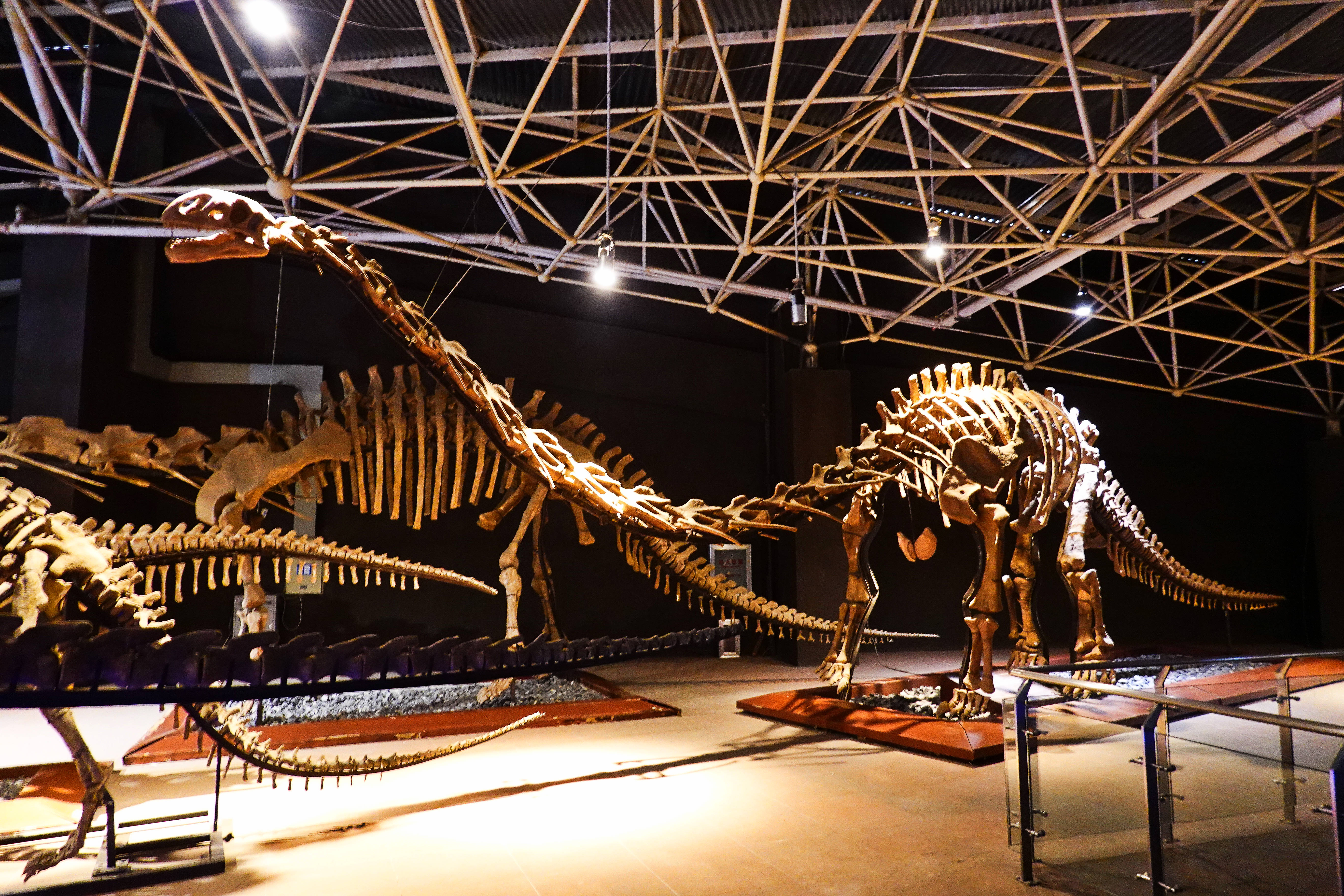 昆明休息放松,昆明市周边适合带孩子去的地方