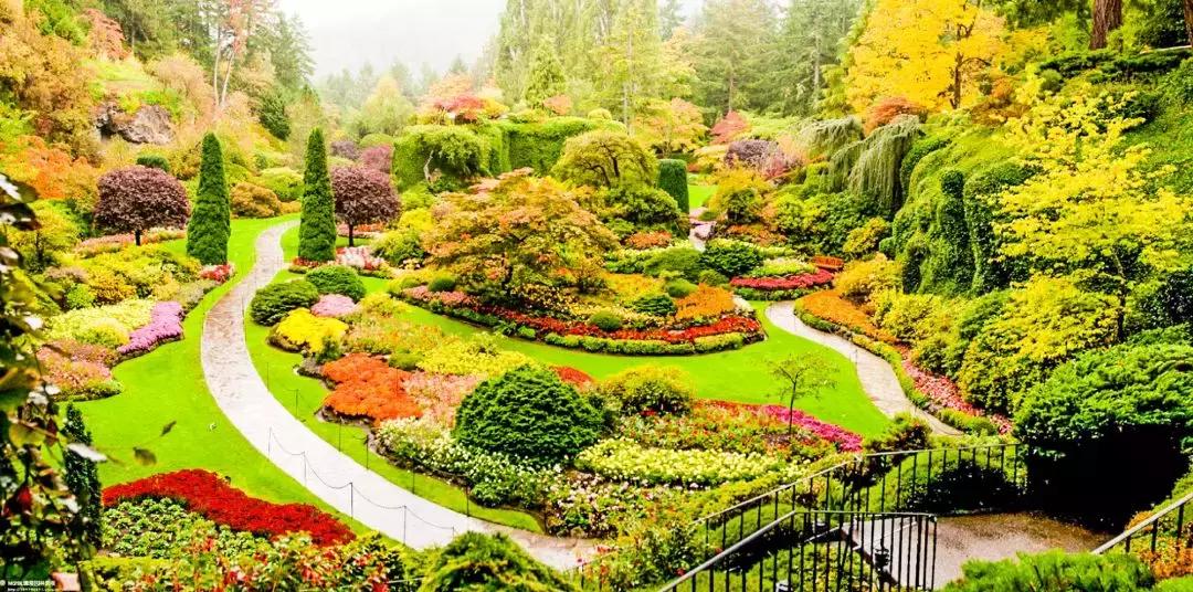 广州白云发达,广州白云区的发展前景怎么样