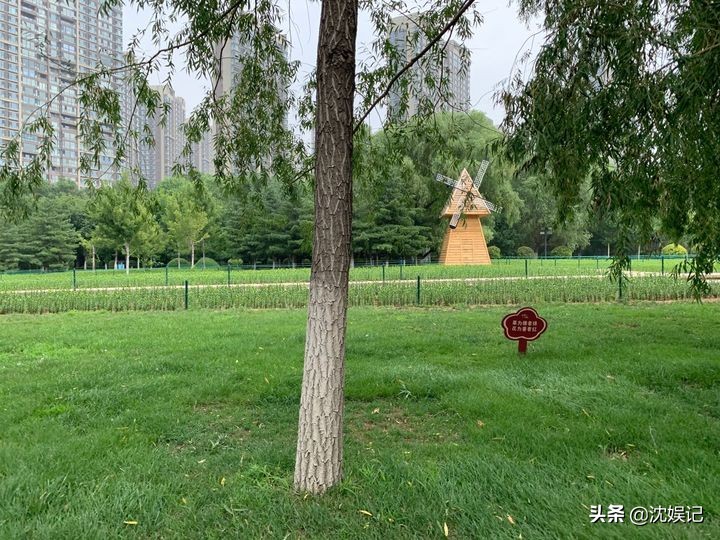 沈阳网红室内打卡地,沈阳冬季网红打卡地