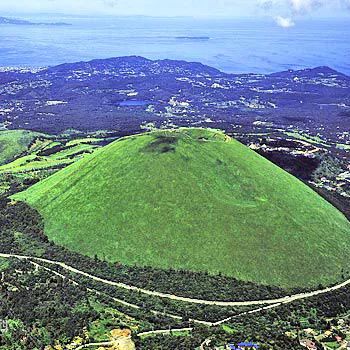 摇滚、坎普、Kaws：狂野又优雅的七月看展指南