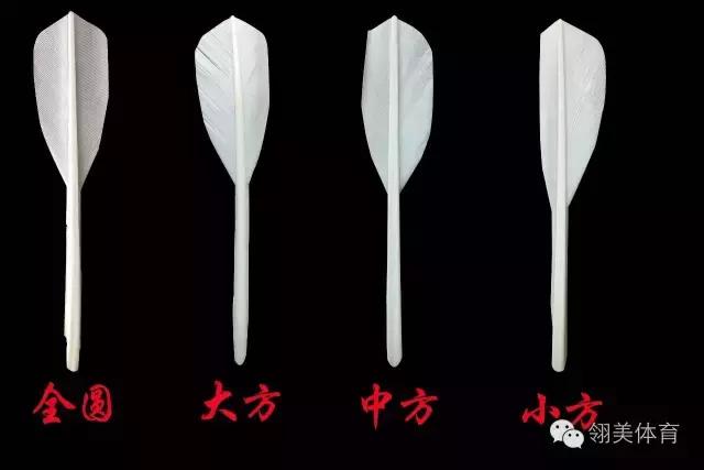 「干货」*片毛**与常识的完美结合，让你在大千羽毛球中精准定位