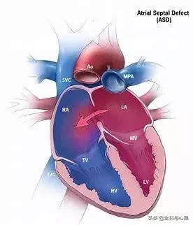 心脏说明书,这份通俗易懂的心脏说明书请收好