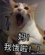 steam美食模拟经营游戏,steam免费好玩的游戏做饭模拟器