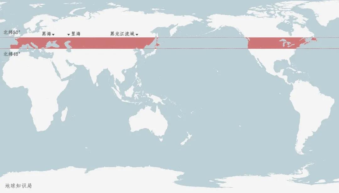 贵比黄金，俄国黑帮盯上他了|地球知识局