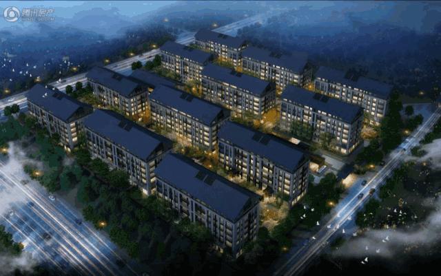 盘点郑州这些C位出道的热盘