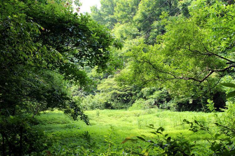 东钱湖徒步路线哪条最美,东钱湖附近有哪些免费古道