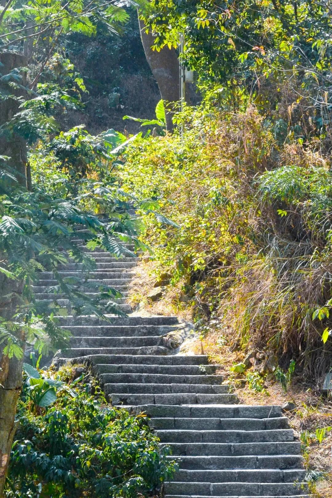 深圳值得去的地标,深圳值得去的景点排行榜