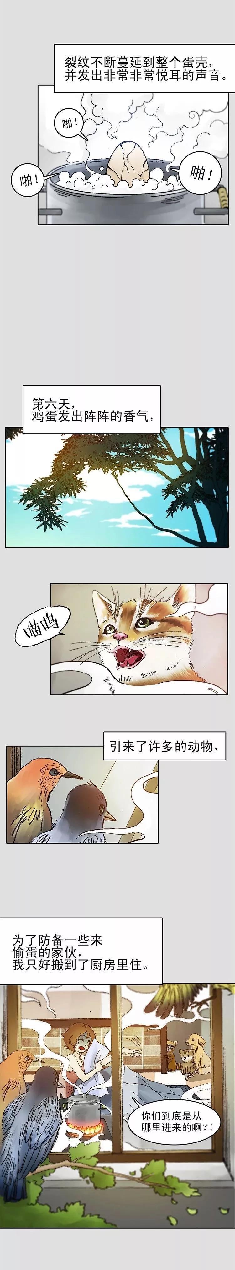 漫画鸡蛋,鸡蛋的漫画
