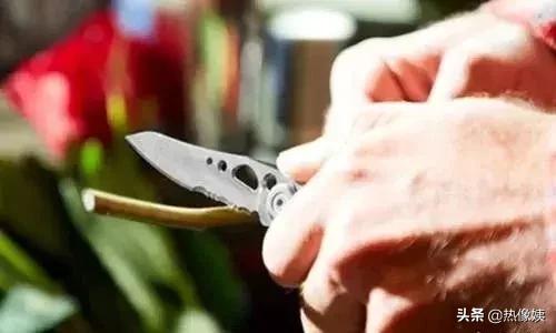 打猎高手被打脸：误把家猪当成野猪打！夏季热像仪狩猎指南