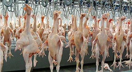 「鸭头」，听到这两个字就开始流哈喇子！