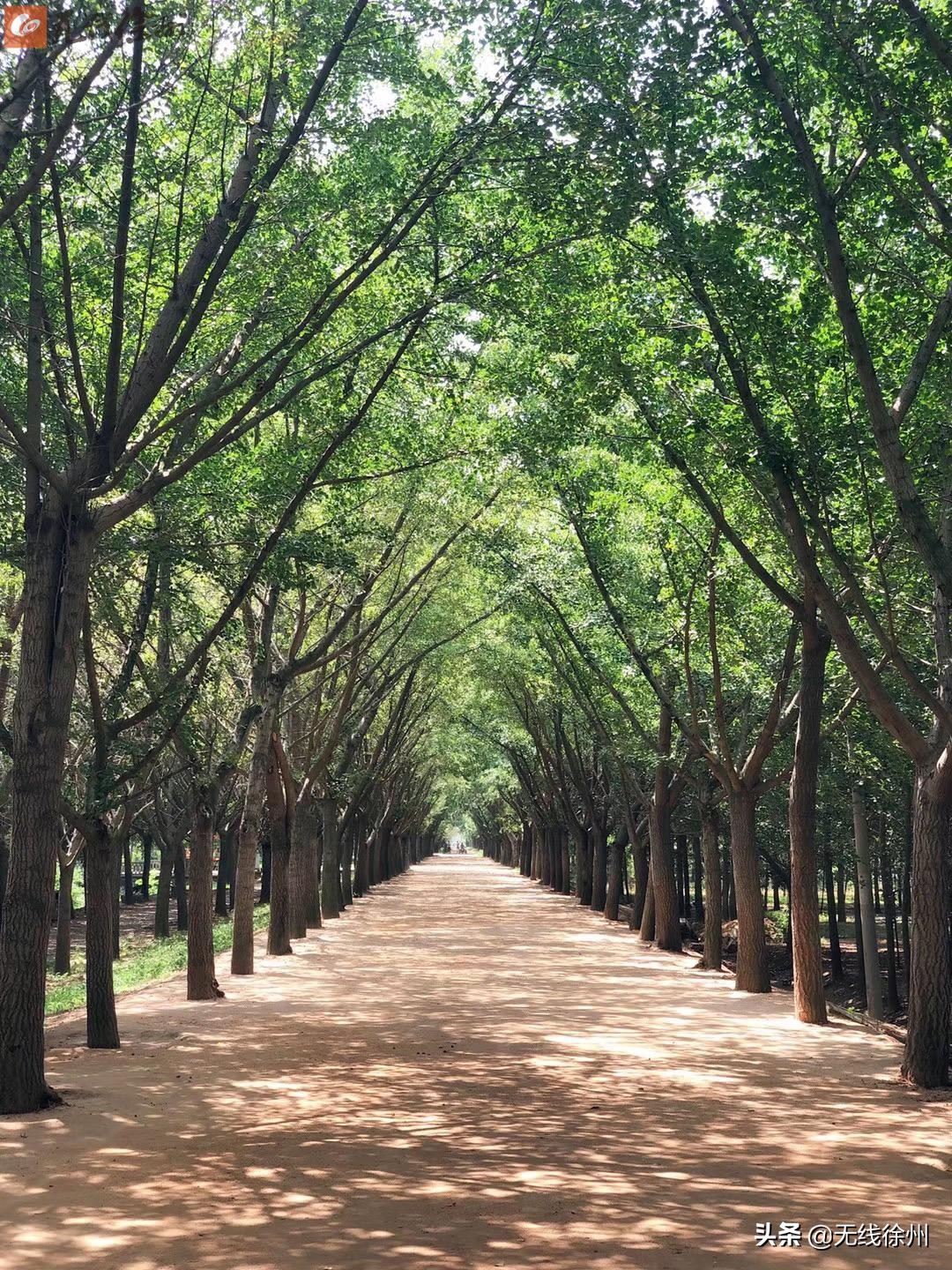 邳州创文明城市,邳州文明城市评选结果