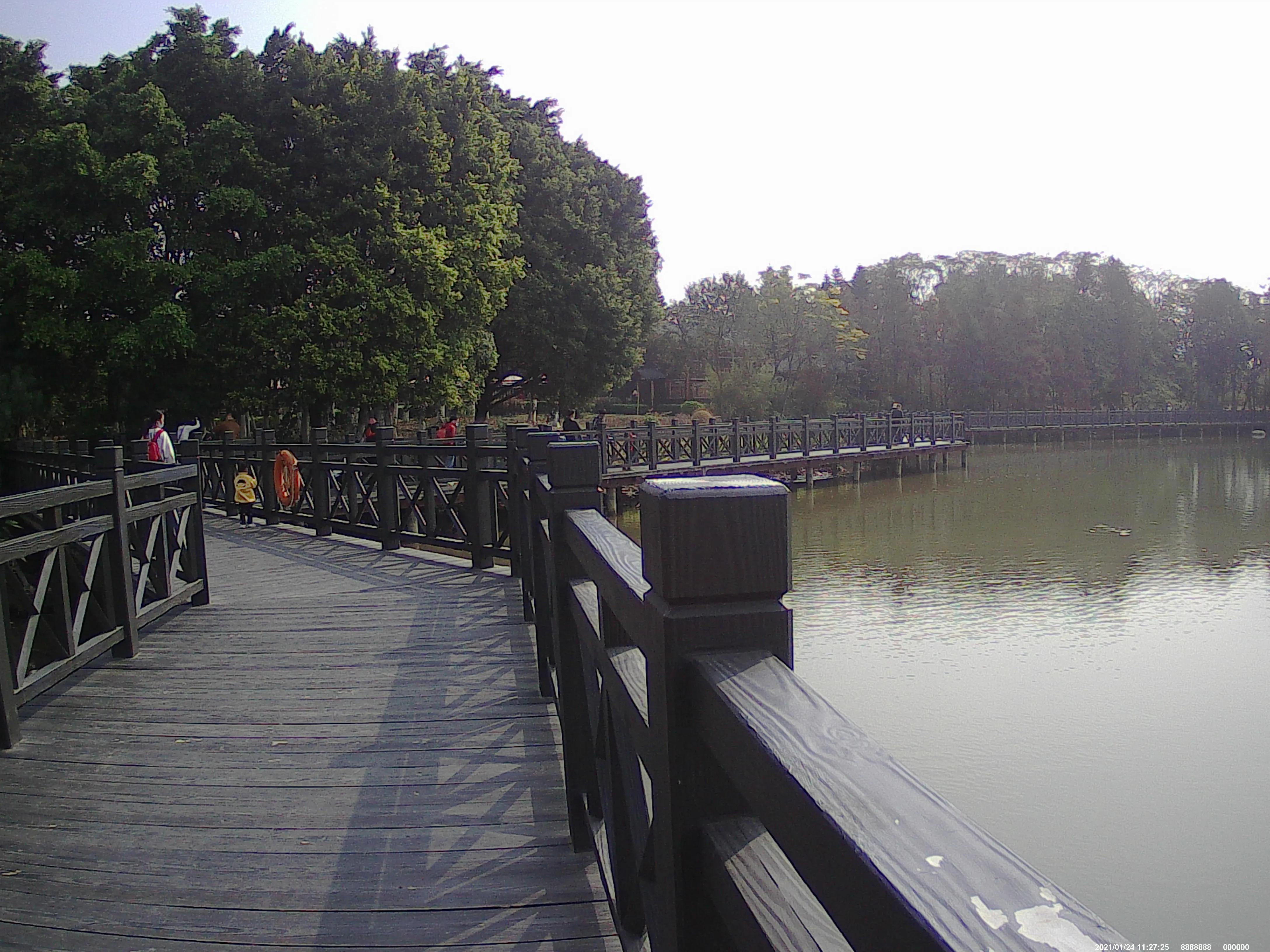 广州海珠湖,海珠湖变化