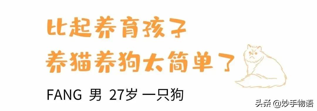 为什么总有人说养猫不如养小孩,年轻人不生孩子反而开始养猫了