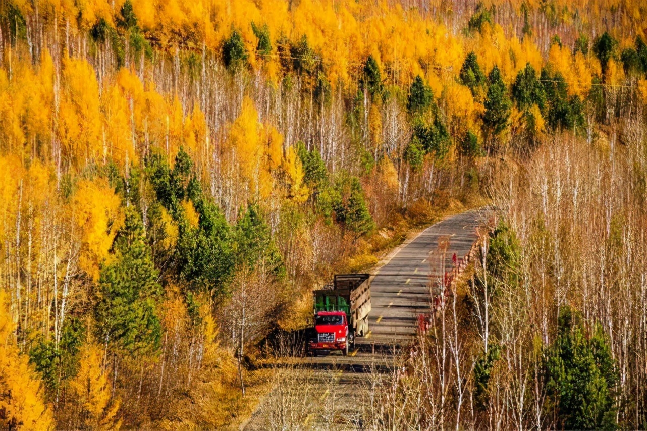 一九八七大火灾原因,回望火灾