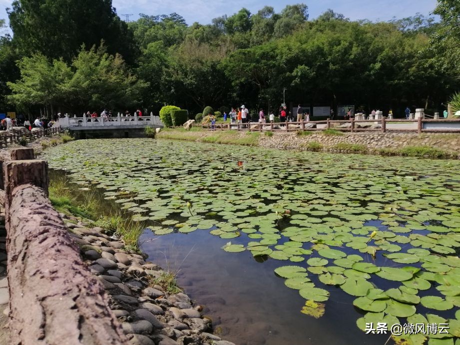 深圳凤凰山森林公园游玩攻略,深圳凤凰山森林公园游记