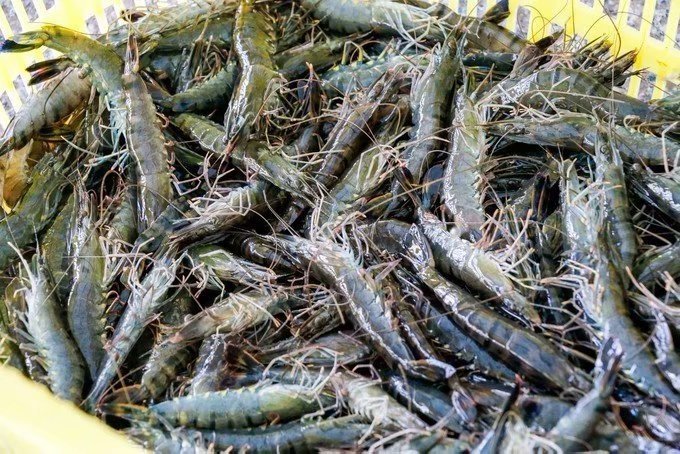 领略海口美丽风光，尝尽海口的各种美食