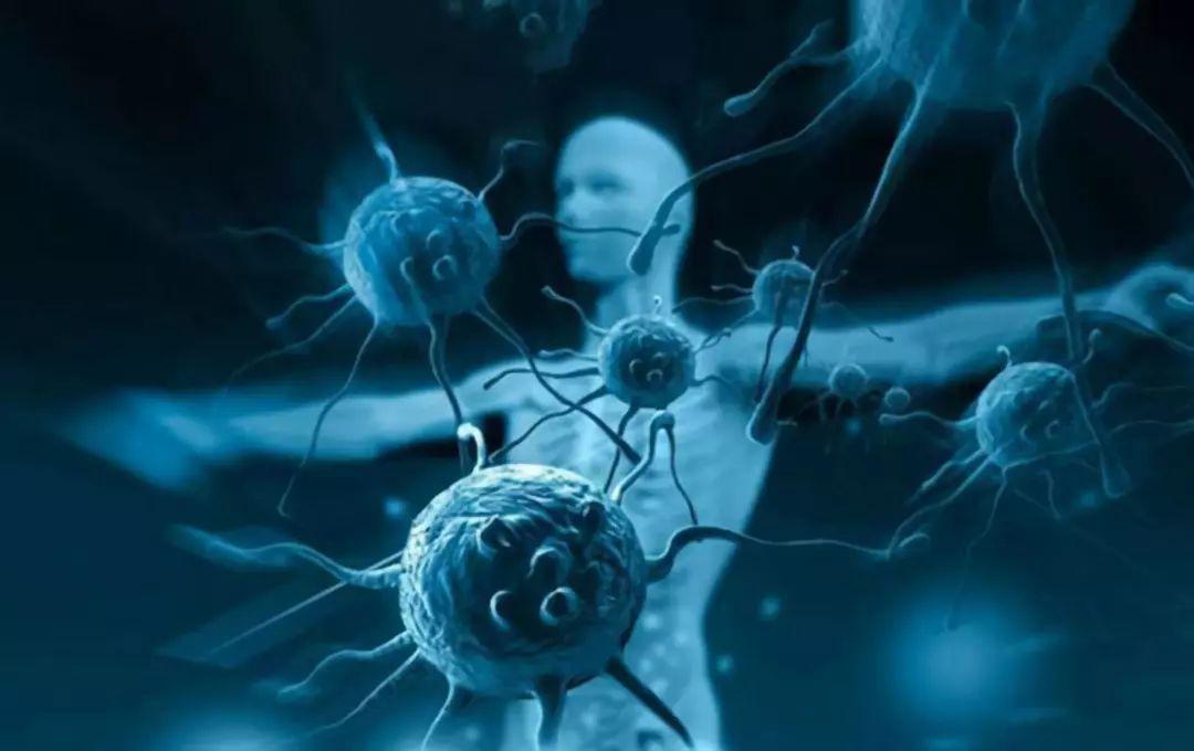 宝宝得重症联合免疫缺陷病的几率,原发性免疫缺陷是遗传病吗