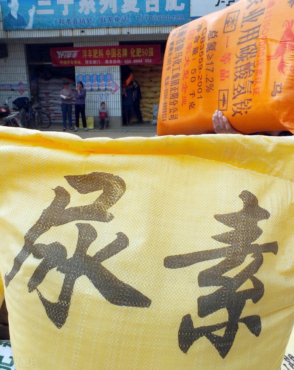 尿素养羊最佳方法,养羊喂尿素