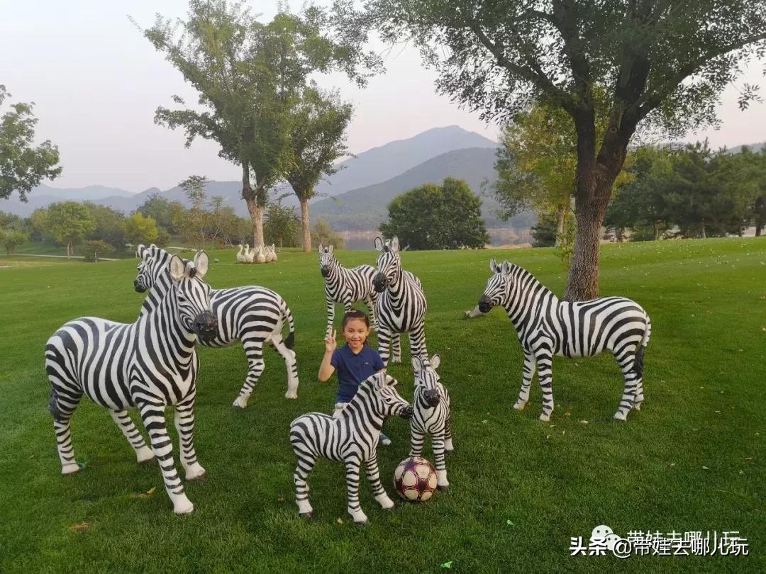 北京最有度假感的酒店，就在金海湖