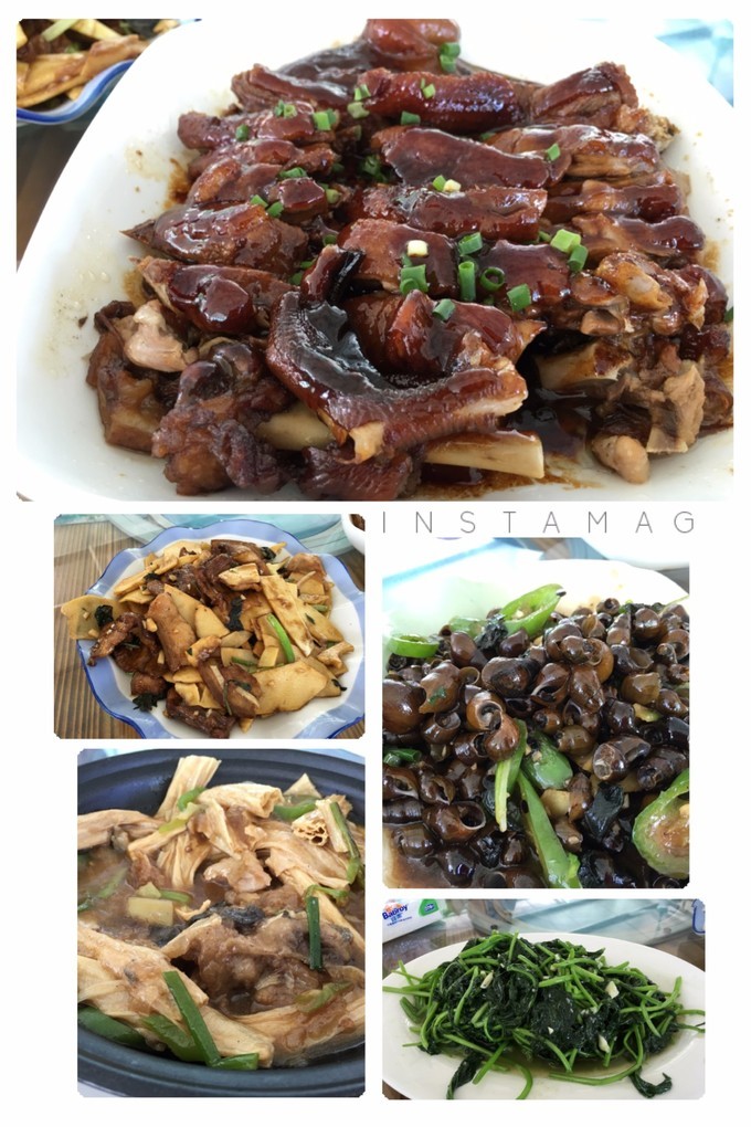 广州从化溪头村一日游出游攻略,从化溪头村自驾游攻略视频