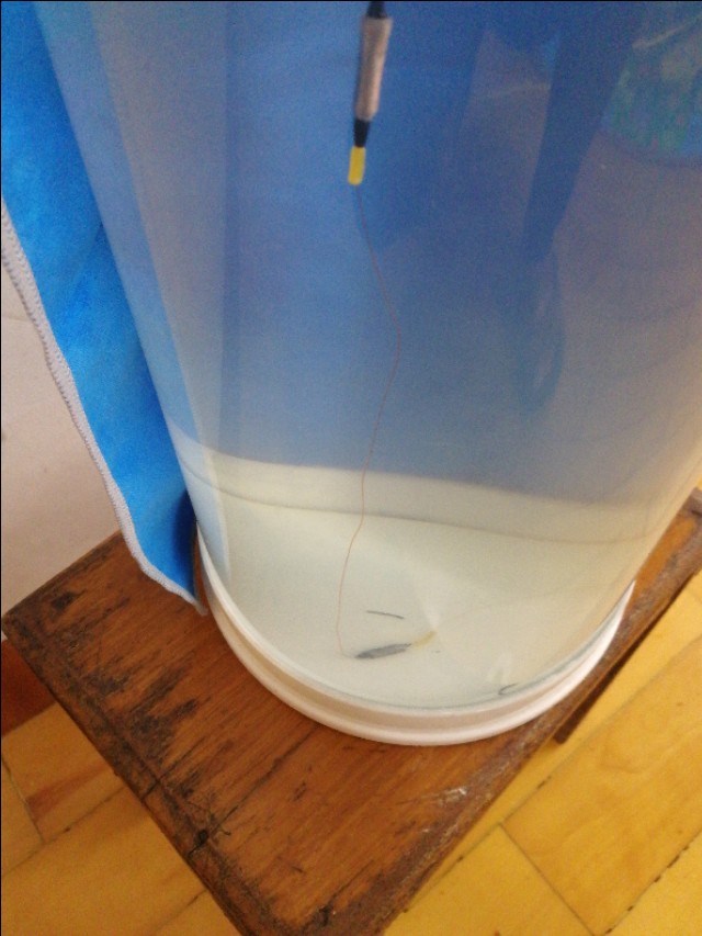 走水严重滑铅钓法野钓视频,钓鱼走水钓底跑铅要多重才合适