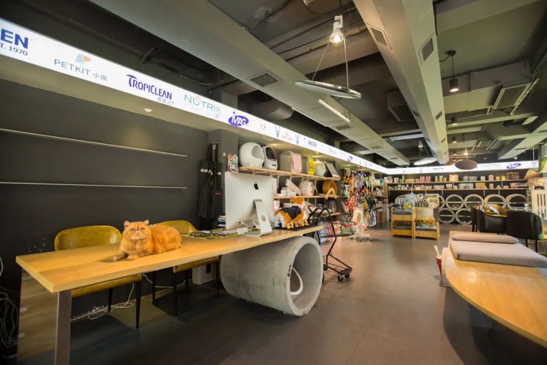 「椒霸霸×1CAKE」联名来啦！只要28.9元，和爱宠共享悠然午后