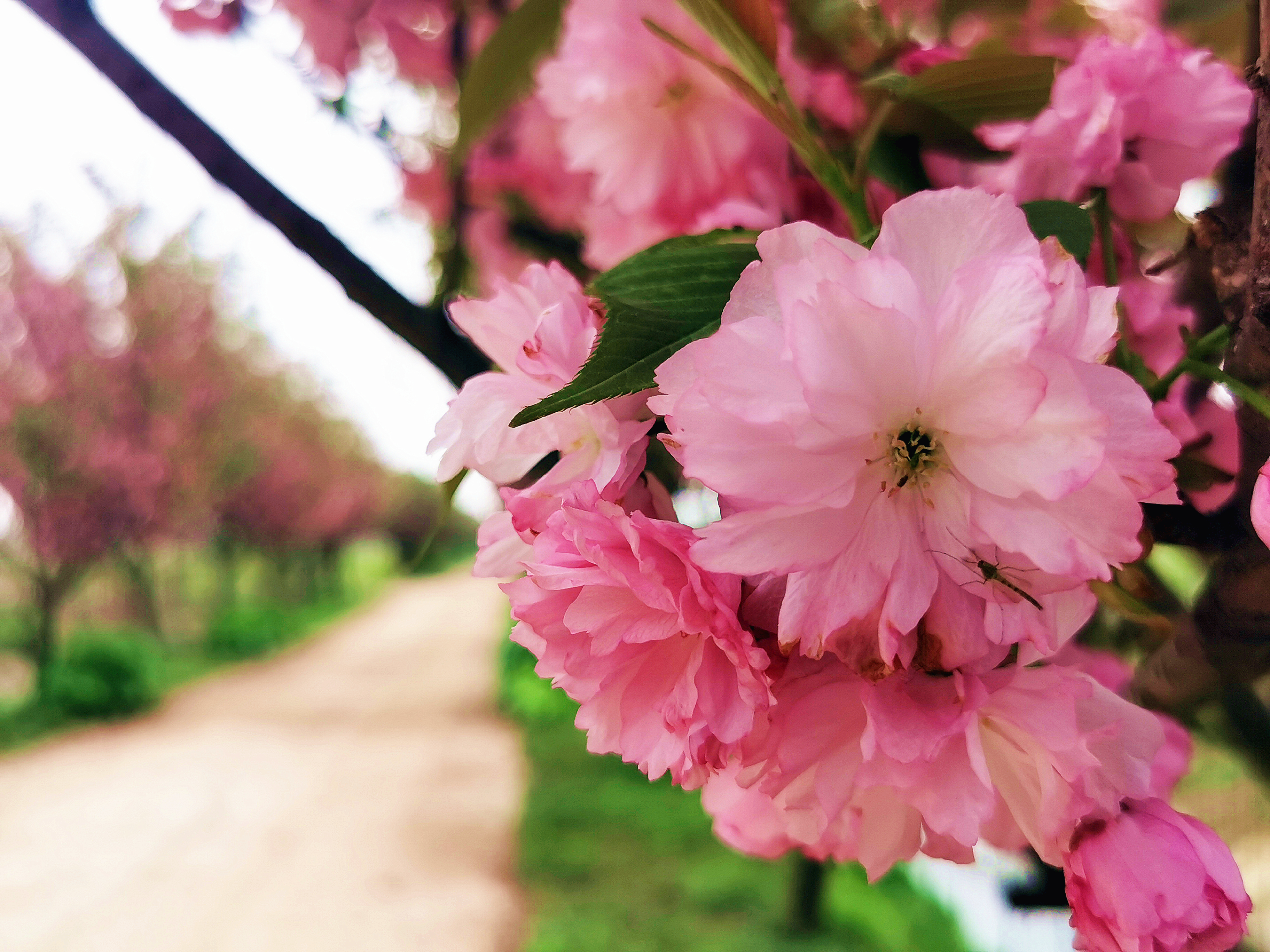 野趣大自然亲子农场攻略一日游,周末驾到