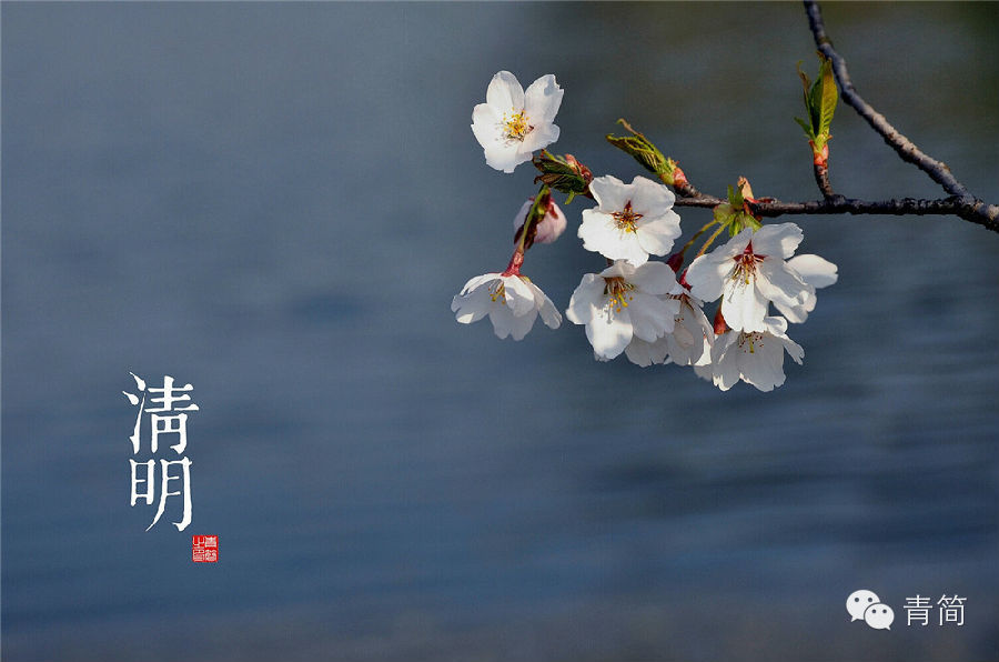 节气的解释,节气的习俗有哪些