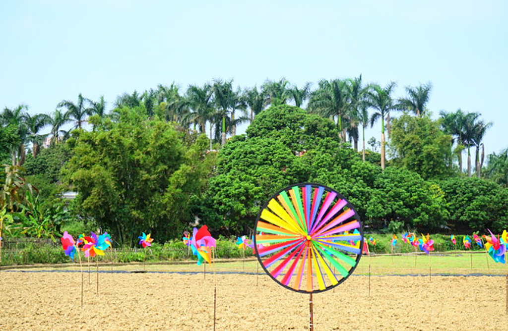 深圳观澜版画村游记,深圳版画村风景