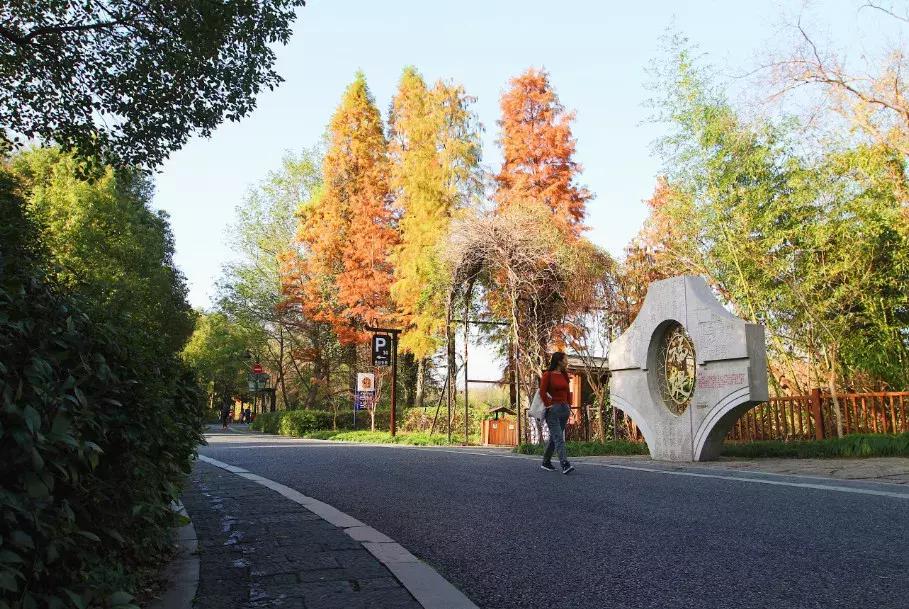 西溪湿地免费开放预约,西溪湿地免费区游览时间