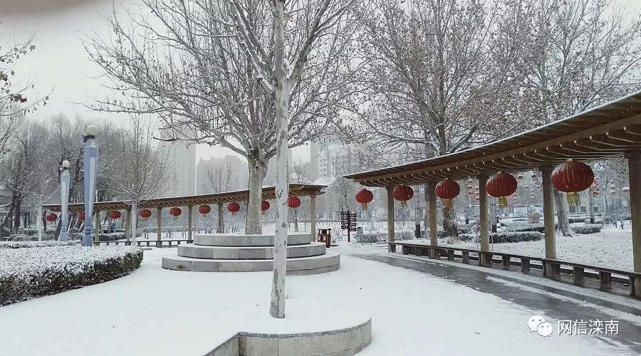 疫情之下你从未见过的平顶山,唐山滦南县有疫情吗