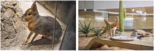 在成都生活如此的美好,在成都生活真好