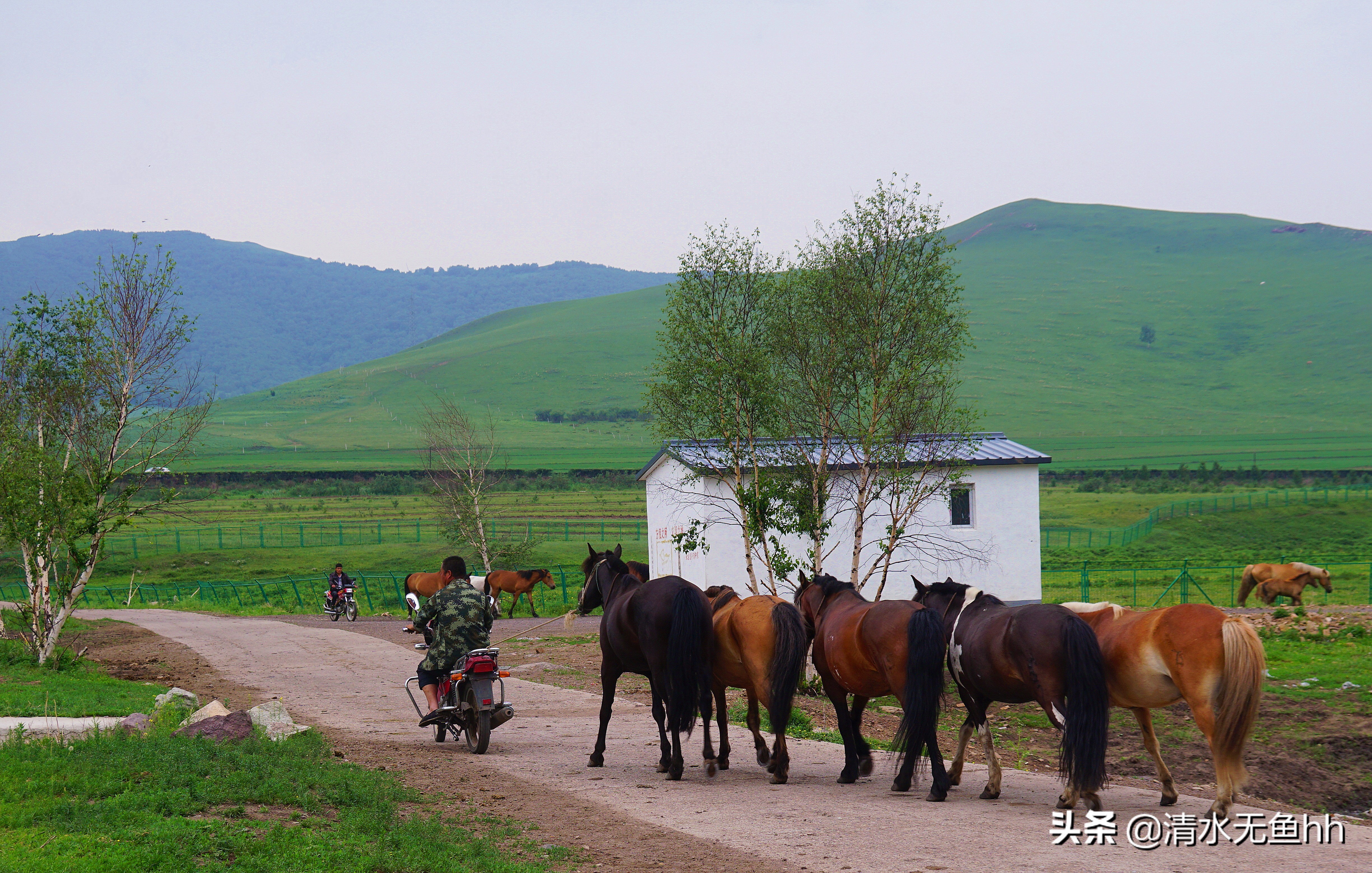 京北第一天路草原最全攻略,京北第一天路自驾攻略