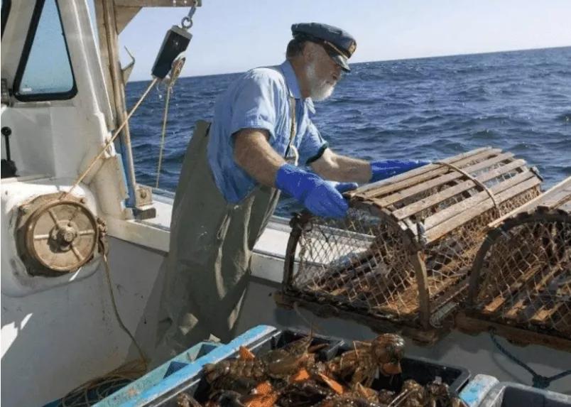 禁不起折腾！加澳两国开始妥协，哪怕运费再贵也要把龙虾运到中方
