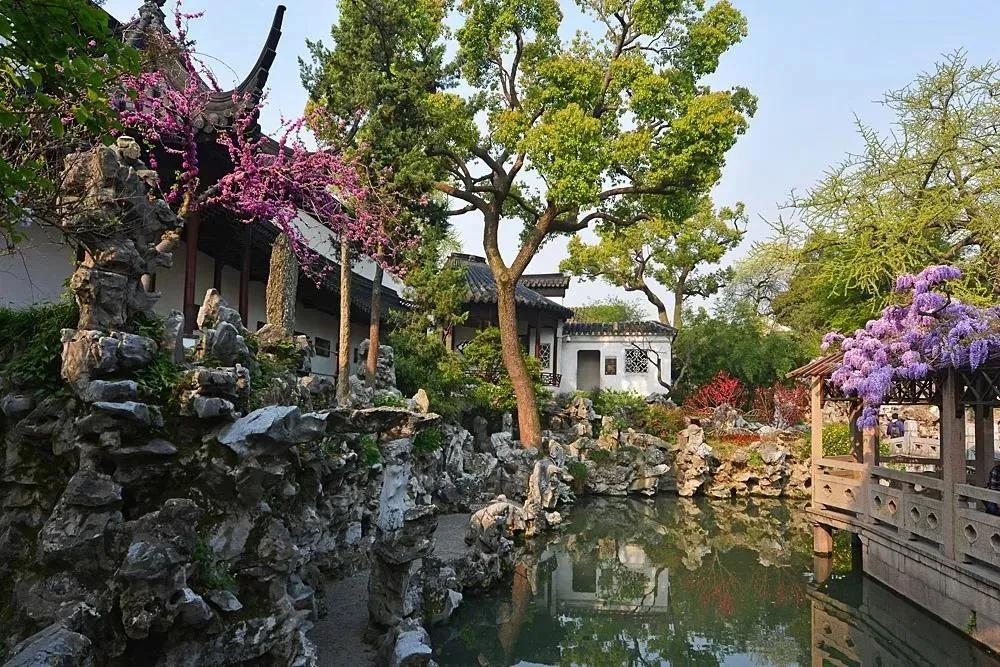 一花一木万般皆有情,一花一木皆是景歌名