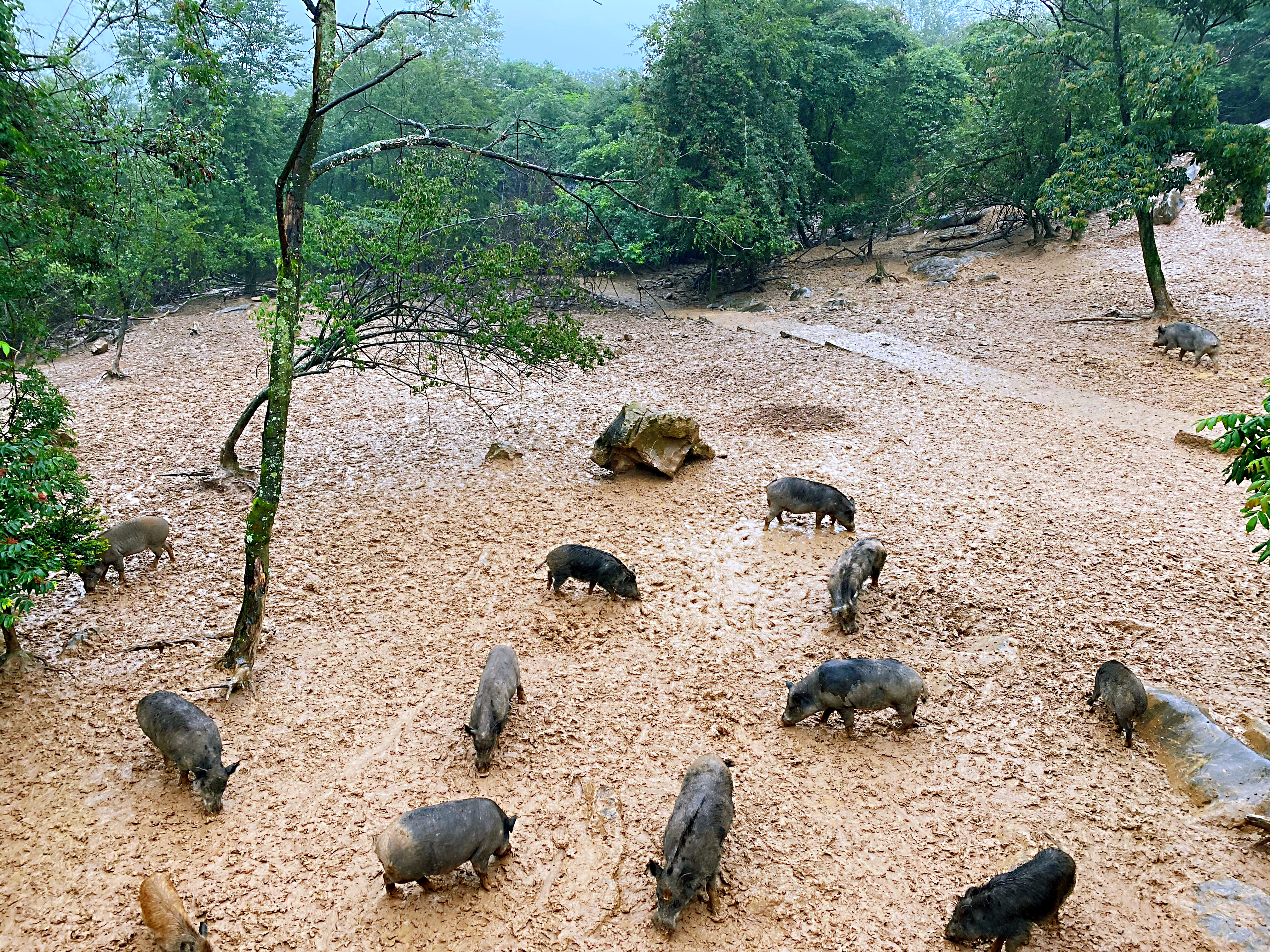 绵阳好玩的地方旅游攻略,推荐绵阳旅游的地方有哪些