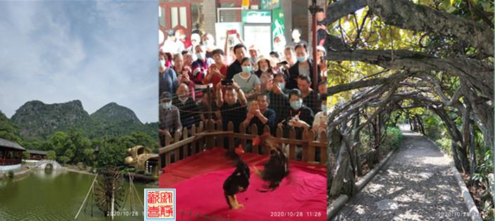 广西桂林双飞五日游,三亚到广西桂林团游