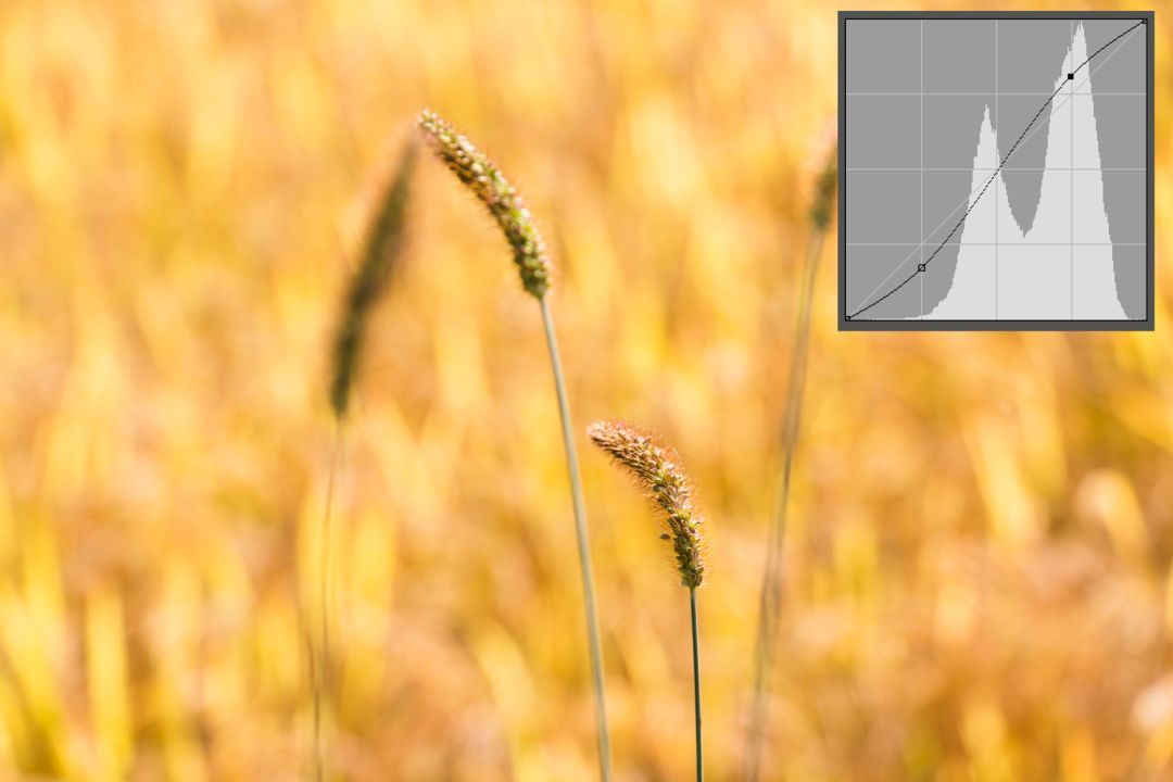 曲线到底难在哪里,曲线难还是直角难