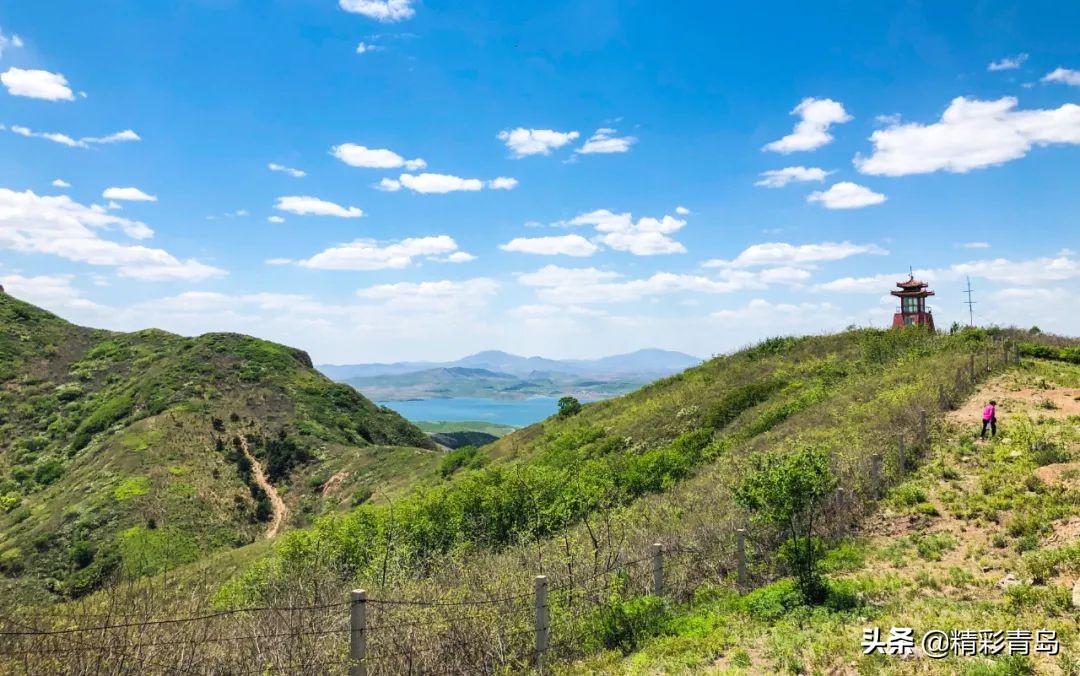 谁说东北城市只有烧烤？它不服！