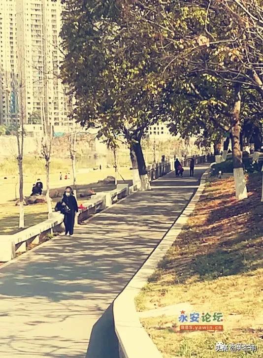 永安各大景区景点恢复开放